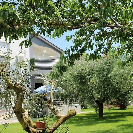 Apartment Nelle Pula